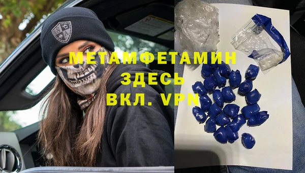 прущие грибы Няндома
