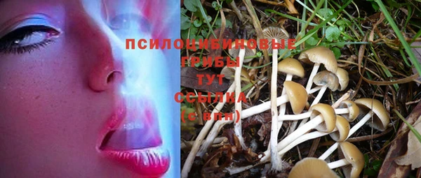 тгк Абдулино