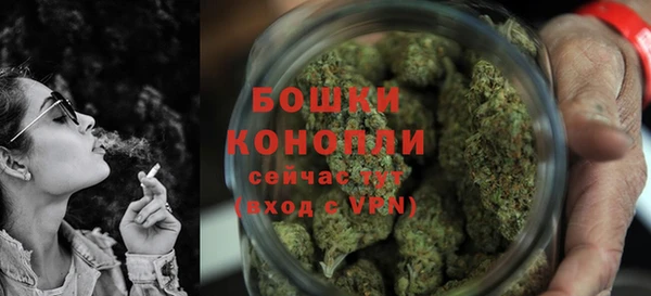 прущие грибы Няндома