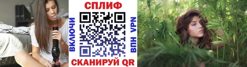 mega ссылки  Усмань  Марихуана Amnesia 